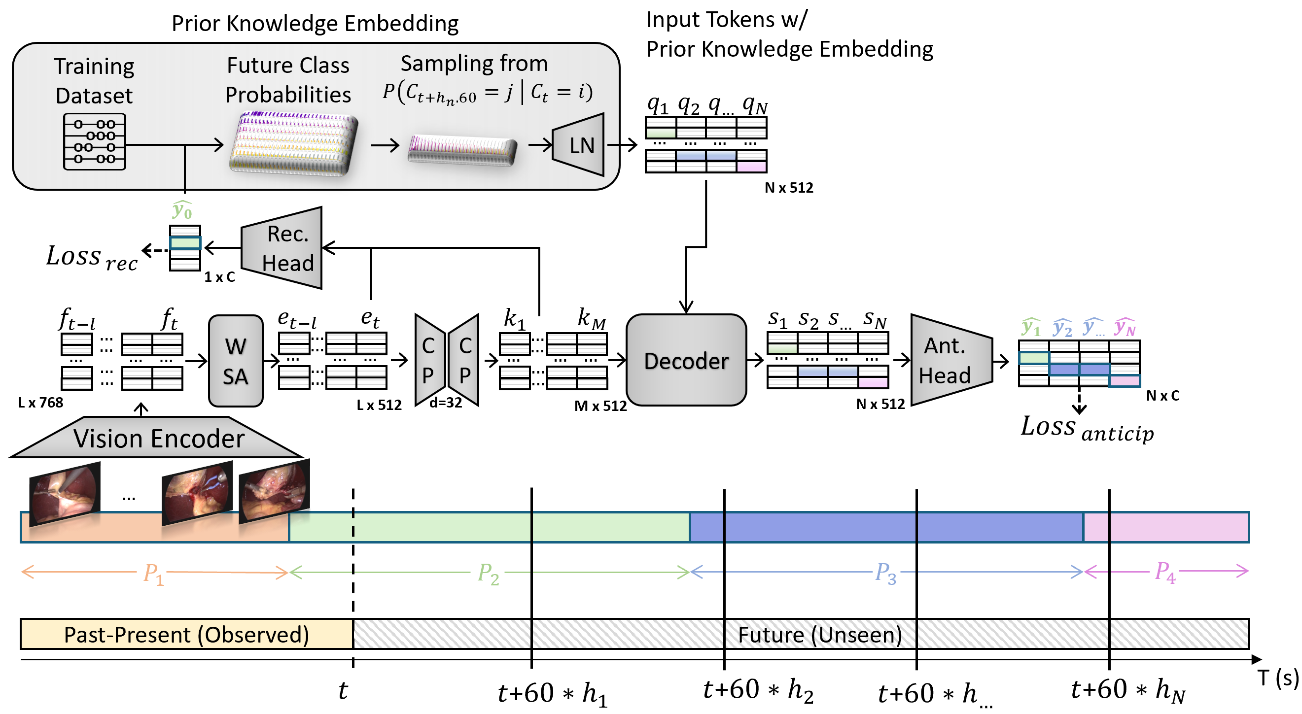 Model Architecture